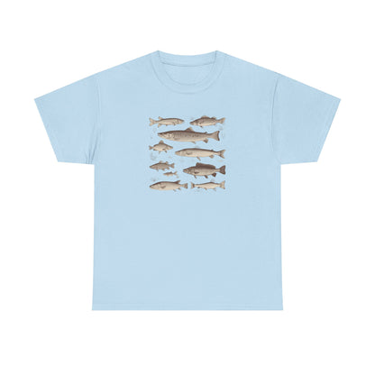 Fish Species Tee - Vintage Marine Fish Illustration T-Shirt